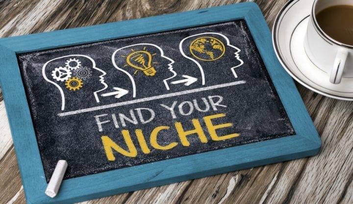 niche 1