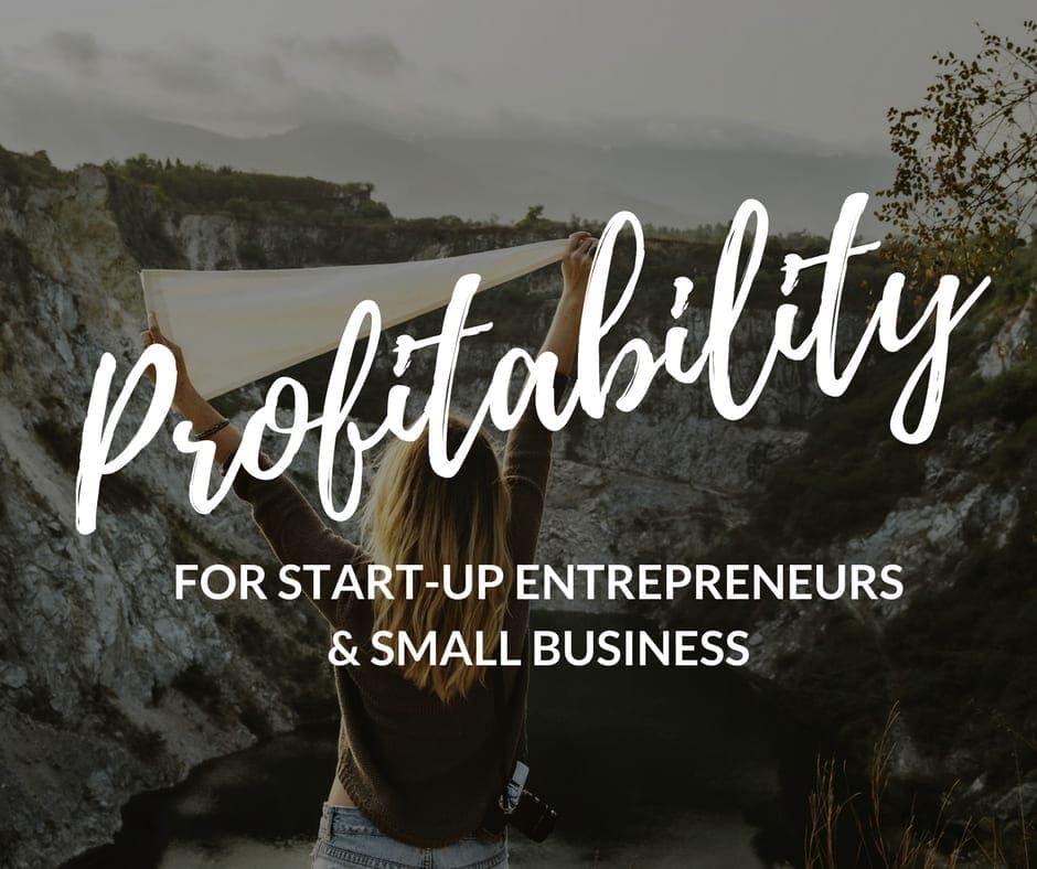 Profitability in start up and small business