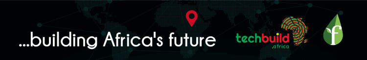 About Building Africas Future 1