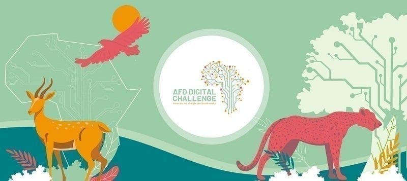 AFD Digital Challenge - techbuild