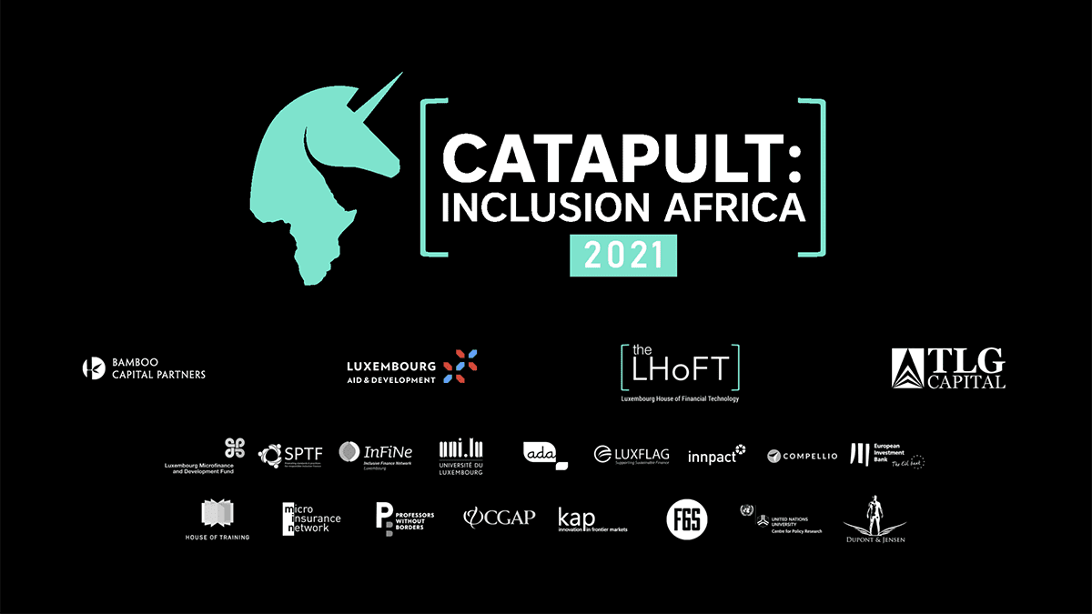 Catapult Inclusion Africa - techbuild