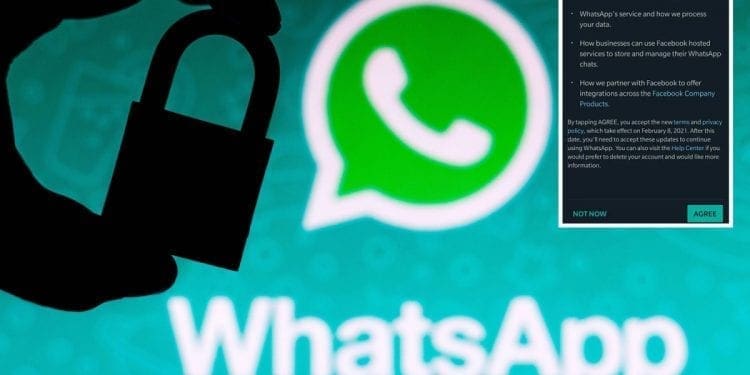 WhatsApp - techbuild