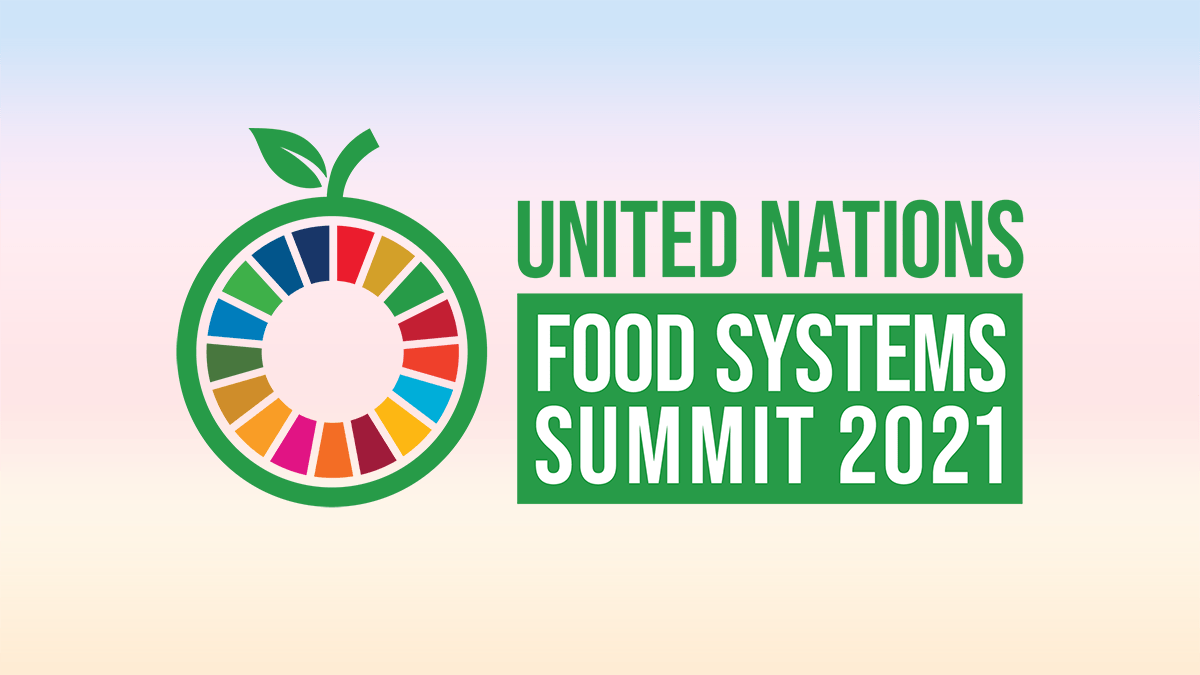 UN Food Systems Summit - techbuild