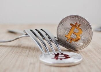 Bitcoin Forks - techbuild