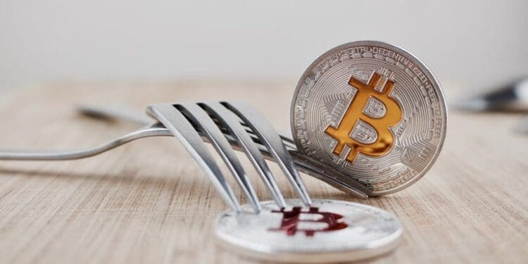 Bitcoin Forks - techbuild