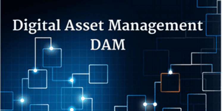 Best Digital Assets Management Software digital assets management software - blockbuild