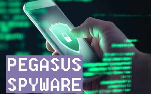 Pegasus - techbuild