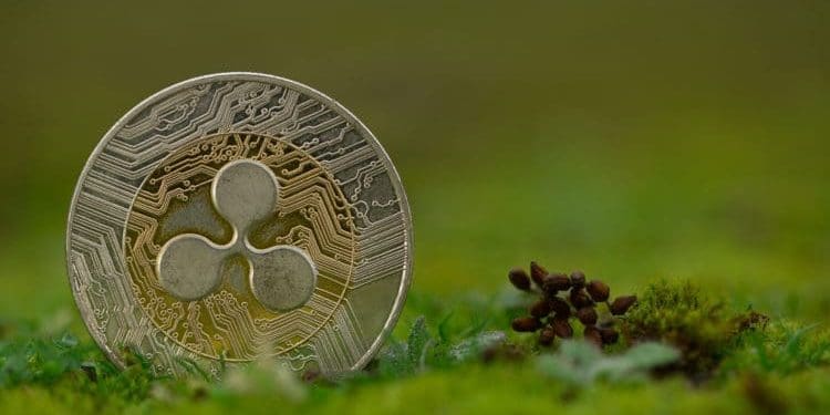 Eco-Friendly Cryptocurrencies - blockbuild