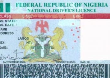 Driver's license - techbuild