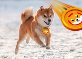 Shiba Inu - blockbuild