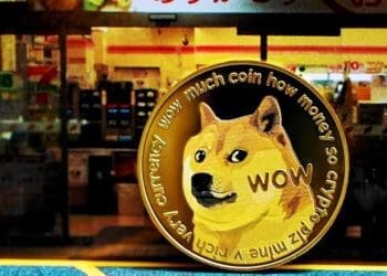 Shiba Inu - blockbuild