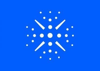 Adaverse accelerator - blockbuild