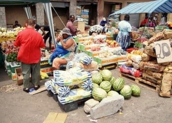 Informal Market - techbuild