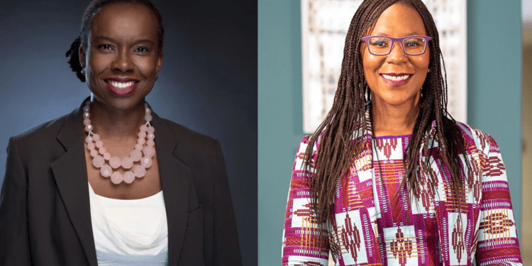 Alitheia IDF announces Final close of Gender Lens Investment ($100M) Alitheia IDF - techbuild