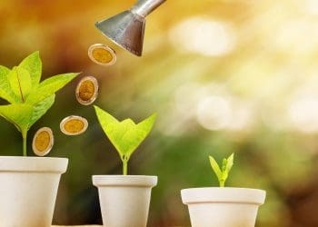 Seed Funding - techbuild