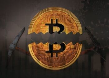 Halving - blockbuild