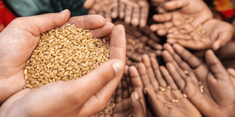 Traceability