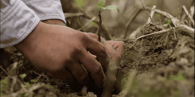 Environmental Conservation