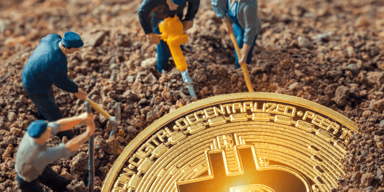 Bitcoin Miners