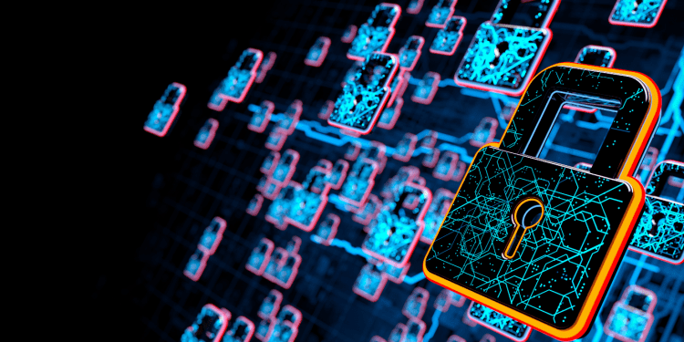 Information Systems Security