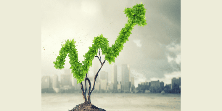 Apply for Sustainable Finance Accelerator Program Sustainable Finance Accelerator