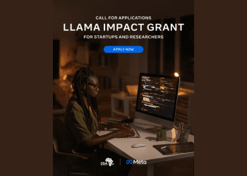 Llama Impact Grant