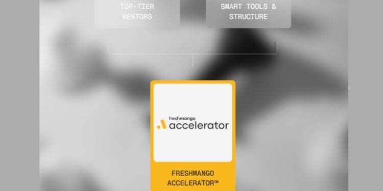 Early-Stage Founder? Apply for Freshmango Accelerator Remote Pre-Seed Program Freshmango Accelerator
