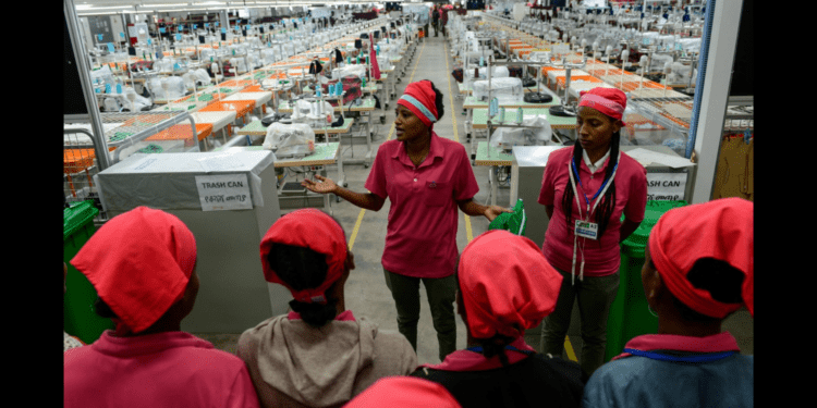 Wasoko Founder Unveils $100M Africa Jobs Fund Targeting $50B Economic Boost Africa Jobs Fund