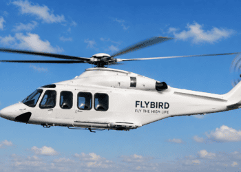 Flybird
